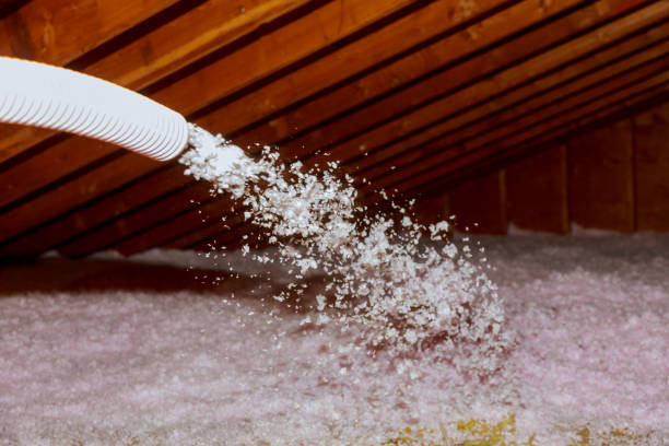 Best Fiberglass Insulation  in Gretna, LA