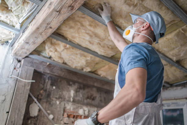 Best Commercial Insulation Contractor  in Gretna, LA