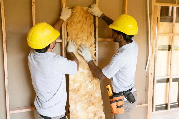 Best Crawl Space Insulation  in Gretna, LA